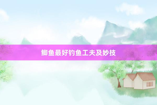 鲫鱼最好钓鱼工夫及妙技