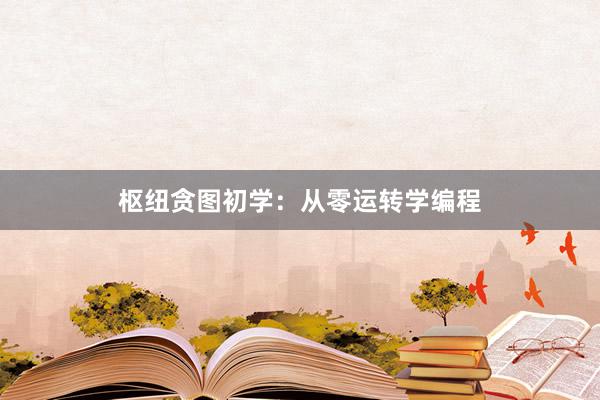枢纽贪图初学：从零运转学编程
