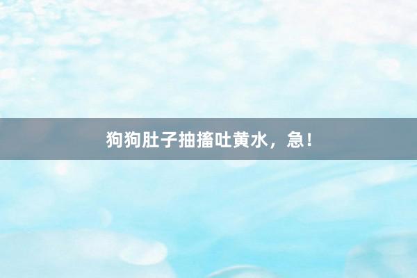 狗狗肚子抽搐吐黄水，急！